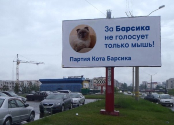 Если не барсик, то кто? Если не барсик, то кто?