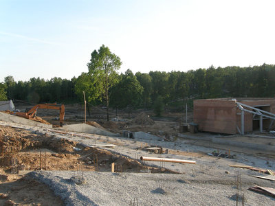Амф2.jpg