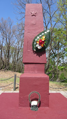IMG_1241.jpg