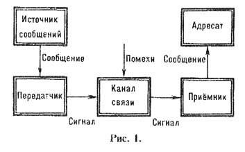 Шэннон.jpg