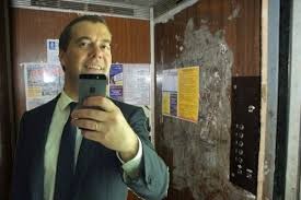 Медвед в Беларуси Медвед в Беларуси